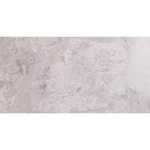 lot 113 image: MSI Tundra Gray 12 in. x 24 in. Polished Marble Floor and Wall Tile (24 sq. ft.)