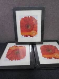 lot 43 image: 5- Victory Light 11 x 14 Cappucci...