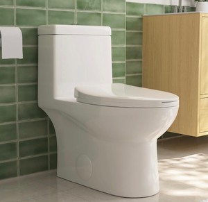 lot 2 image: Deer Valley One Piece Porcelain Toilet
