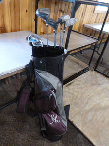 lot 55 image: Golf Clubs with Bag