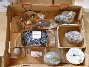 lot 104 image: Flat of Kyranite and Fossils