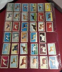 lot 12 image: 1950 Challenge of The Yukon Dog Cards - Complete Set (55)