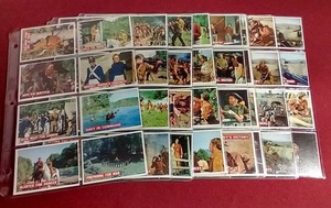 lot 23 image: 1956 Topps Davy Crockett Orange Back Cards - Complete Set (80)