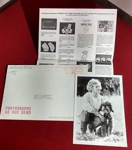 lot 255 image: Autographed 1990s Photo of Doris Day