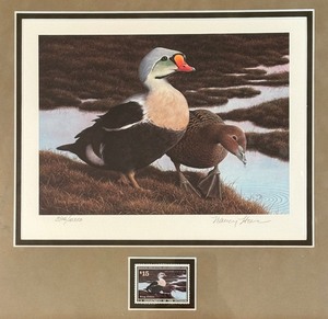 Limited Edition Federal Duck Stamp Print by Nancy Howe