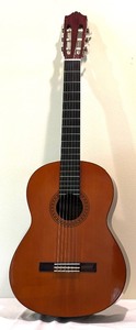 Yamaha Guitar with Takamine Guitar Case