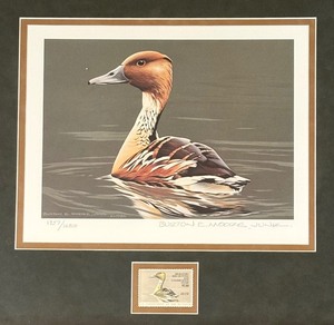 Fulvous Whistling Duck Limited Edition Federal Dick Stamp Print by Burton E. Moore Jr.