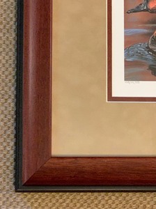 Federal Signed Duck Stamp Bruce Miller Print Framed with Limited Edition Duck Stamp