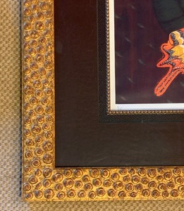 Beautiful Butterfly Framed Print by Miranda