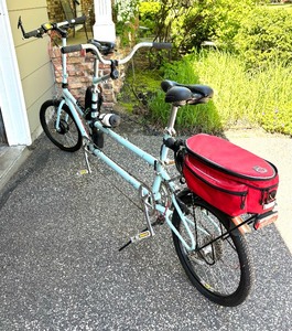 Custom E Bike Built for Two by Bike Friday