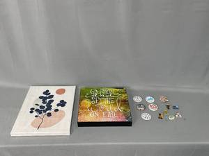 lot 12 image: Art Decor Lot with State Fair Pins
