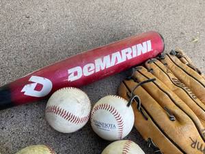 lot 134 image: Baseball Gloves, Aluminum Bat and Baseballs