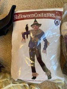 lot 172 image: Halloween Costumes