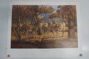 lot 893 image: Schmidt Wild Life Series Family Reunion Print only