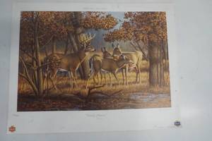 lot 895 image: Schmidt Wild Life Series Family Reunion Print only