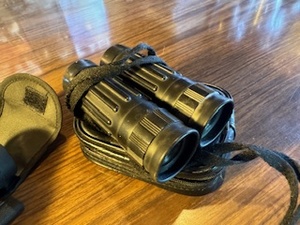 lot 40 image: Bushnell Binoculars with Case and Archer Single Lens Scope