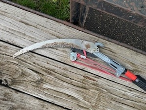 lot 9 image: Telescoping Tree Pruner