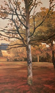 lot 127 image: Noix Framed Print by Kent Lovelace