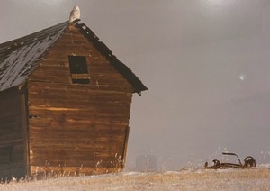 lot 136 image: Snowy Owls Granary Limited Edition Print by Thomas D. Mangelsen