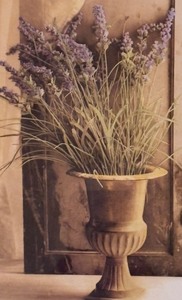lot 151 image: Fine Framed Floral Print