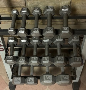 lot 123 image: FG140 Weight Stand with Hand Weights.