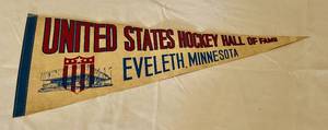lot 81B image: Vintage Gustavus Adolphus College Pennant