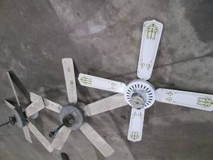 lot 40 image: 3 White ceiling fans. Removal by ap...
