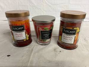 3 Candles - Falling Leaves, Apple & Oak, Pumpkin Praline