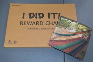 lot 86 image: Blissful Diary I Did It Motivational Magnetic Reward Chart