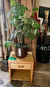 Night Stand 16x20x24 and Artifial Plant 44 tall