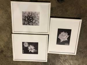 lot 32 image: 3 StyleWell 16 x 20 Matted to 8 x 10 White Gallery Wall Picture Frame Customer Returns See Pictures