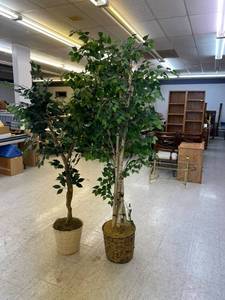 2 Faux Trees