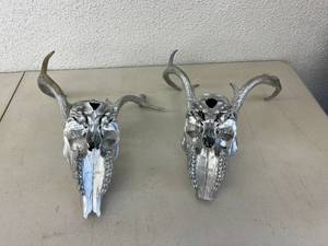 Painted Skull & Antlers