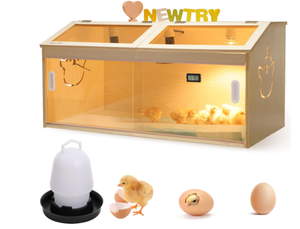lot 411 image: NEWTRY Chicken Brooder Box Intelligent Sliding-Door Chick Brooder with 3 Heating Lamp, 1 Temp Controller, 2 Types of Thermometer