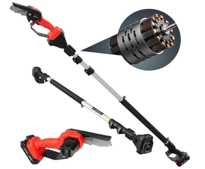 lot 20 image: 2-IN-1 Pole Saw for Tree Trimming & Cordless Chainsaw, 17-Foot MAX
