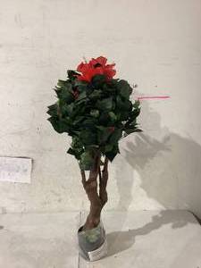lot 505 image: PURE GARDEN 48 INCH HIBISCUS TREE WITH FLOWERS
