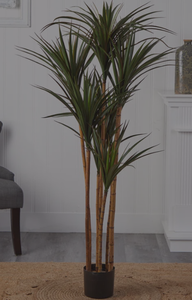 lot 504 image: Pure Garden 51-Inch Artificial Tropical Yucca Plant