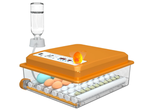 lot 531 image: 24-36 Eggs Incubator with Automatic Egg Turner and Humidity Monitoring for Chicken, Duck, Goose, Quail Eggs.  17.25 x 15.4 x 7.5 WATER BOTTLE NOT INCLUDED.