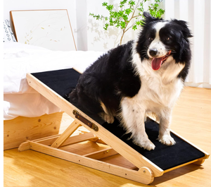lot 555 image: Woohoo Dog Ramp with Innovative Non-Slip Rubber Mat.