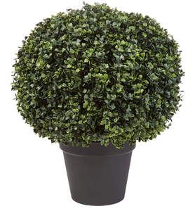 lot 72 image: LOT OF 2 Artificial Boxwood Plant - Topiary Ball Faux Plant