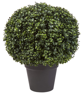 lot 73 image: LOT OF 2 Artificial Boxwood Plant - Topiary Ball Faux Plant
