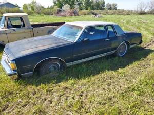 lot 9 image: 1982 Chevrolet Caprice Classic