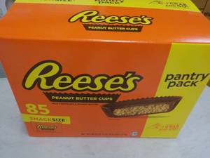 85 ct Reeses Snack Size Peanut Butter Cups