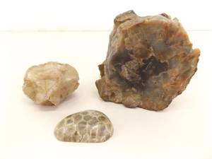 Lot of Petoskey Stone, Petrified Wood, Fossil...