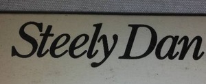 Steely Dan (2) 12 Inch Vinyl Record Albums.