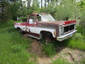 lot 4 image: 1979 Chevy Pickup