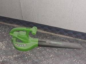 lot 384 image: Greenworks Blower 24012