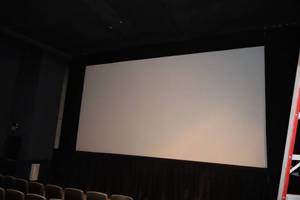 lot 17 image: Movie Projector Screen 30x15