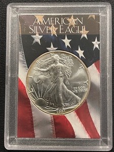 1991 Silver Eagle