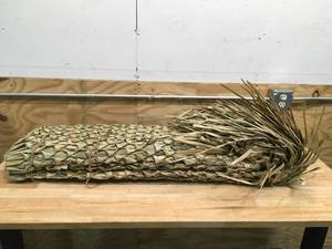 lot 76 image: NORTHERN FLIGHT Field Grass